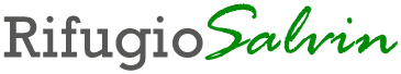 logo_salvin